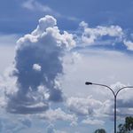 Perry - @perry_____willis_ff1.__ - Instagram