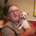 Perry Willis - @williperry - Instagram