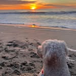 Peta Rogers - @_peta_rogers_ - Instagram