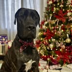 Peta Rogers - Facebook