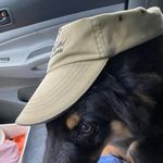 Pete Ballard - @peterraymondballard - Instagram