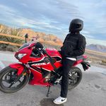 Peter Beckmeyer - @peter.beckmeyer - Instagram