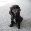 Pete Bennett - @pete.bennett0 - TikTok