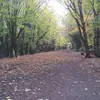 Pete Bingham - @petebingham - TikTok