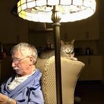 Peter Bingham - @peterbingham5 - Instagram
