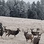 Pete Bowman - Facebook