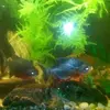 Pete Boyer - @pete.boyer7 - TikTok