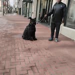 Pete Capone - @misterbingochiporelly - Instagram