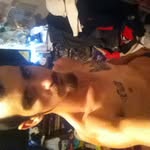 Pete Carter - @petecarter2009 - Instagram