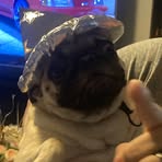 Pete Castillo - Facebook