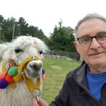 Peter Celaya - @celayapeter - Instagram