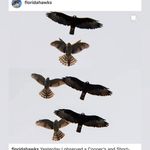 Peter Cerda - @petercerdaphoto - Instagram