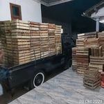 @peternak_cerdas - Instagram