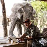 🇿🇦 Peter Chadwick 🇿🇦 - @peterianchadwick - Instagram