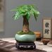 Pete Chen - Facebook