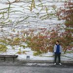 Peter Chen - @peter.ctk - Instagram