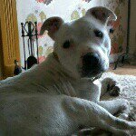 Pete Childs - @petescousec66 - Instagram