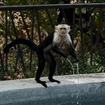 Peter Childs - @peterjchilds - Instagram