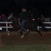 Pete Christopher - @pete.christopher - TikTok