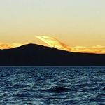 Pete Clements - @chefpeteclements - Instagram