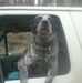 Pete Cobb - Facebook