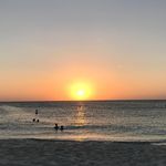 Peter Colucci - @pete_the_carpenter_ - Instagram