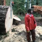 Pete Connor - @peteconnor6 - Instagram