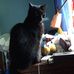 Pete Conrad - Facebook