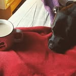 Pete Cook - @thr33_m3tr3_p3t3 - Instagram