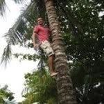 Peter Correa - @petecorrea - Instagram