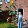 Pete Cross. gardener 1701 - @pete.cross..garde - TikTok