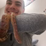 Pete R Cross - @peterc833 - Instagram