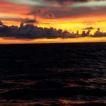 Peter Cummings - @peter.cummings.948 - Instagram