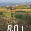 Peter Curran - @peter2525 - TikTok