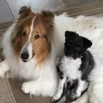 Pam N Pete Dallman - @pamnpetedallman - Instagram