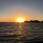 Pete DAmico - @damicopete - Instagram