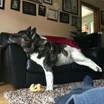 Pete Daniels - @pete.daniels.509 - Instagram