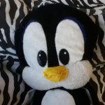 Pete Daniels Penguin - @furious_pete_ - Instagram
