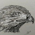 Pete DeCarlo - @illustrationsbypete - Instagram