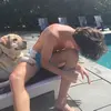peter decarlo:) - @peter.decarol - TikTok