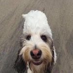 Peter Devine - @peterdevine - Instagram
