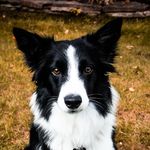 Pete Devlin - @ciaopete - Instagram