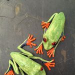 Peter Docters van Leeuwen - @peterdoctersvanleeuwen - Instagram