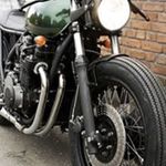 Pete Dooley - @petedooleydog - Instagram