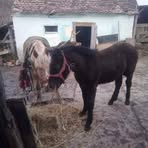 Peter Dorr - Facebook