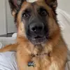Douglas Peter - @douglas.peter30 - TikTok