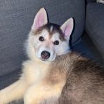 Pete Doyle - @peterdoyle21 - Instagram