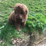 Pete Duncan - @pete.duncan.7 - Instagram