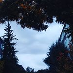 Pete Dunham - @petedunham1895 - Instagram