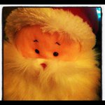 @petedunn - Instagram